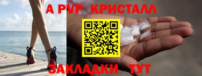 стаф Ставрополь
