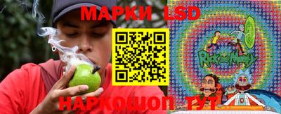 стаф Ставрополь