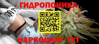 стаф Ставрополь