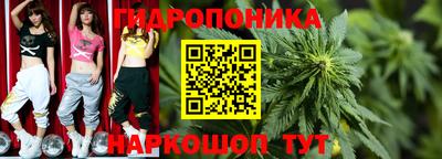 стаф Ставрополь