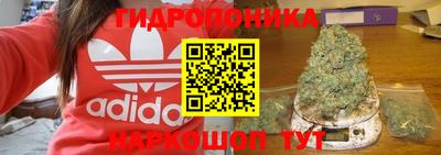 apvp Старая Купавна
