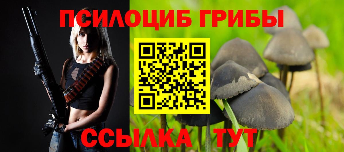 Галлюциногенные грибы прущие грибы Новоалтайск